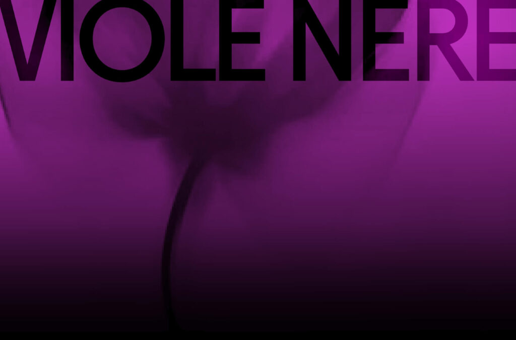 viole nere
